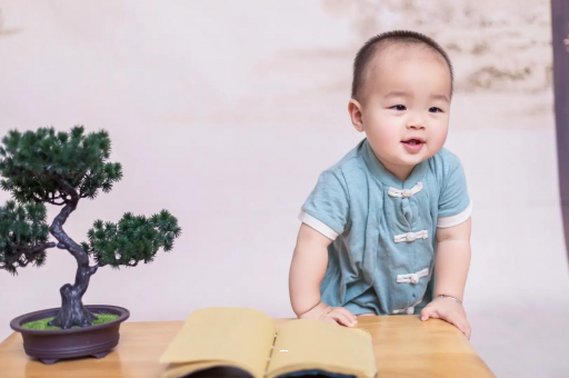 吉林可爱的企鹅宝宝